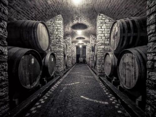 cantina