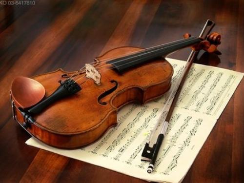 violino