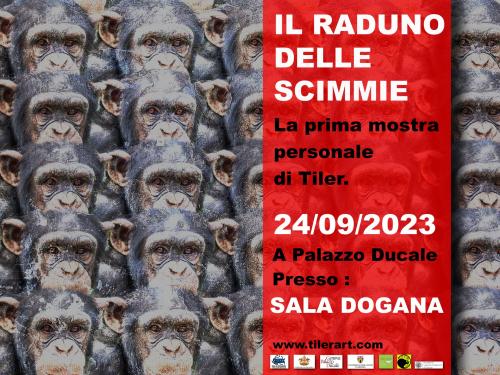raduno delle scimmie