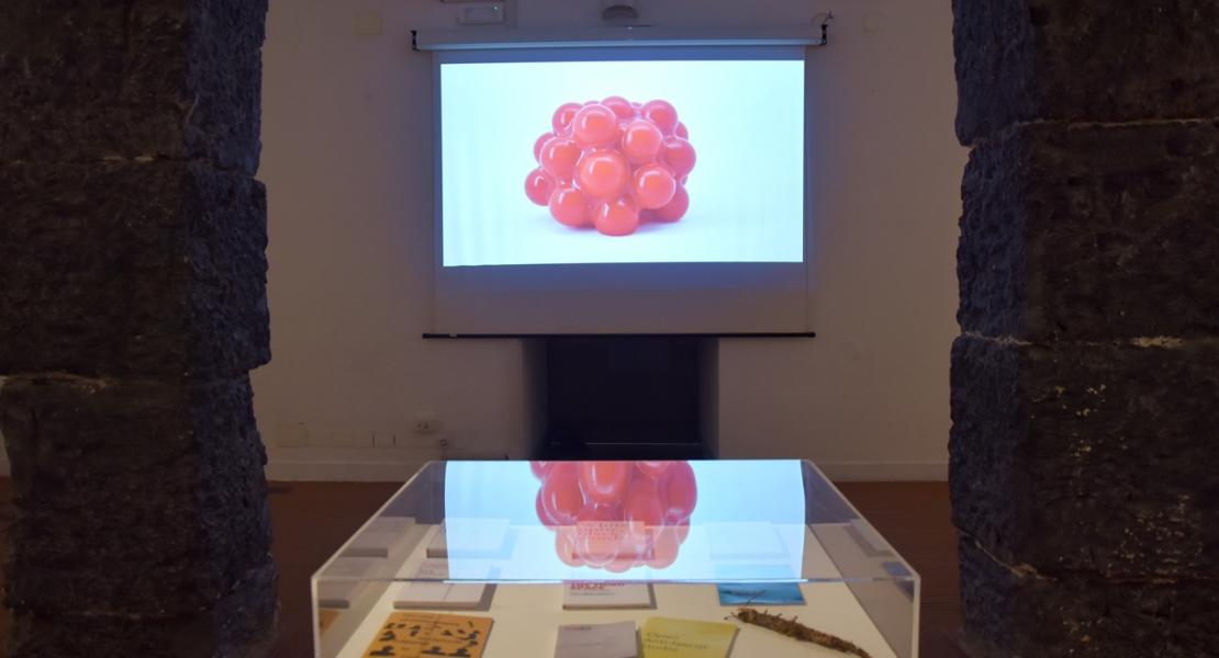 Seminario locale 29.11.20 Sala Dogana e Salone del Minor Consiglio