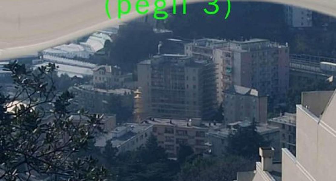 palazzi alti, alberi