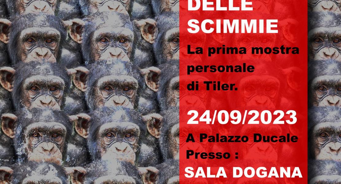 raduno delle scimmie